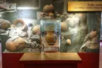 Ban Chiang National Museum — Photos 7