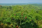 Wonderful Wat Pa Phu Kon — Photos 8